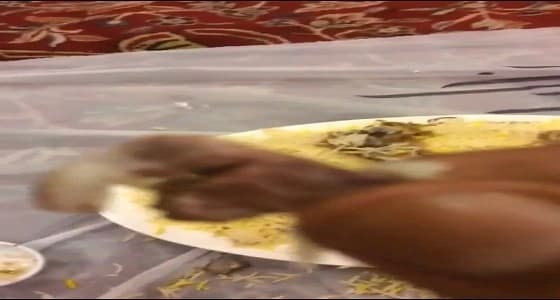 أمانة جدة تبحث صحة مقطع فيديو للحوم مقرحة بمطعم شهير