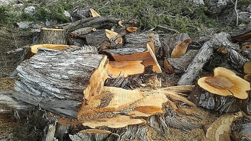 إنذار بكارثة بيئية في لبنان