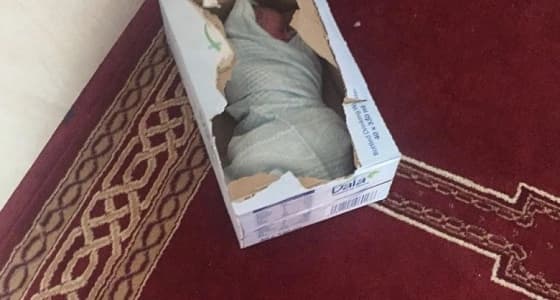 العثور على رضيع داخل كرتونة للمياه الصحية بأبو عريش