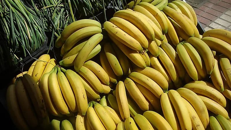 مصر تنفي استيراد موز فاسد من الصومال