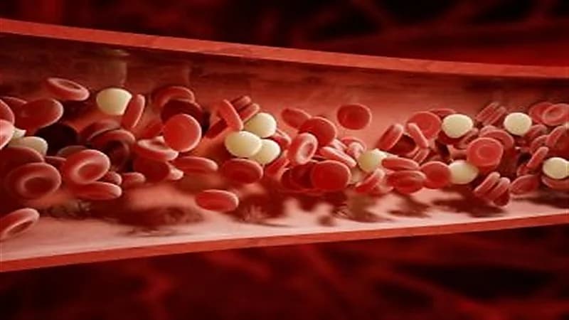 "النمر": زيادة لزوجة الدم تسبب جلطات القلب والدماغ