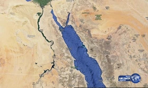 هيئة المهندسين: نزول المهندسات إلى الميدان يحكمه المجتمع والسوق