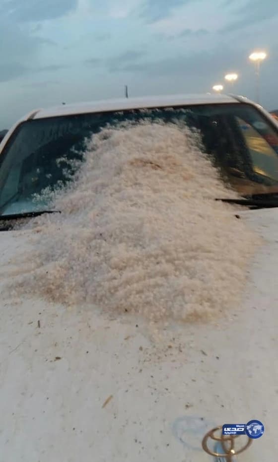 أخر ضحايا طريق بلقرن أسرة ما بين المقبرة والطوارئ