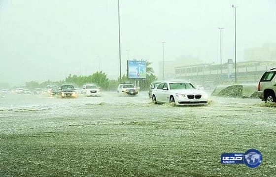 خروف يقطع أكثر من عشرين كيلو للعودة لصاحبه