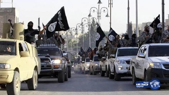 التحالف: تنفيذ 33 عملية استهداف ضد الحوثيين في مأرب خلال 24 ساعة