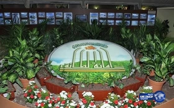 إصابة جديدة تبعد أنسيلمو عن تدريبات النصر 