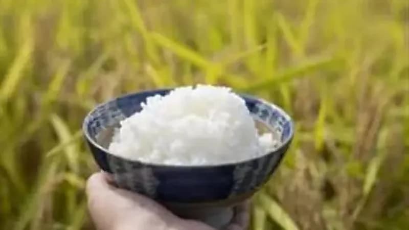 الإطاحة بوزير الزراعة الياباني بسبب هدايا من الأرز