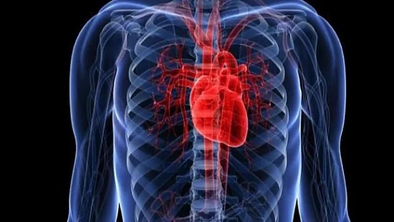 لقاح يعيد القلب إلى طبيعته بعد النوبات