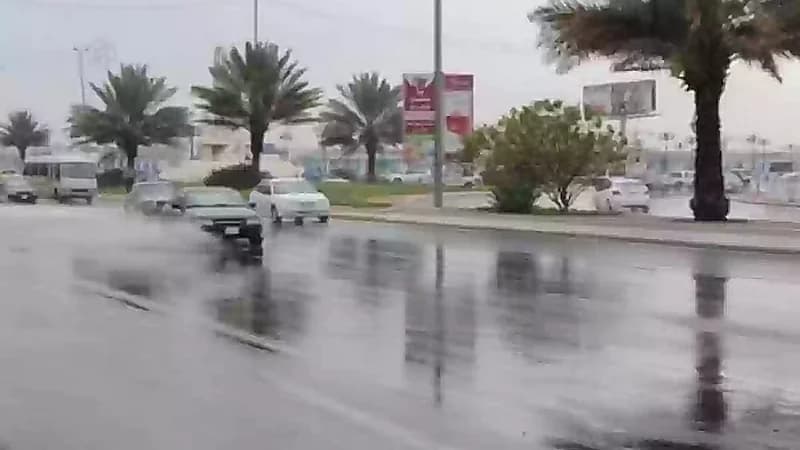 العقيل: بقي 41 يوما لدخول فصل الصيف ..فيديو