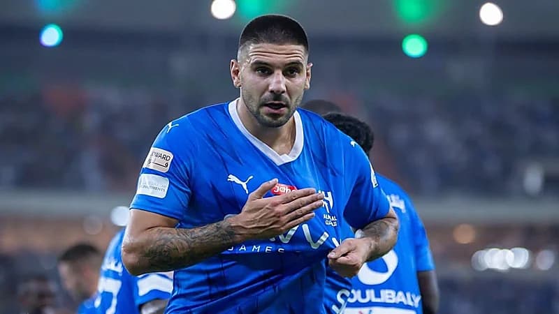 فنربخشه يفتح ملف ميتروفيتش