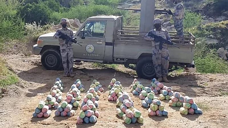 إحباط تهريب 260 كيلوجرامًا من نبات القات المخدر بجازان