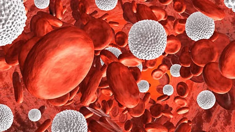 علاقة مكونات الدم باضطرابات الدماغ