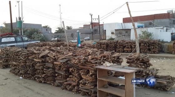 الزراعة تصدر قرارًا لتعديل عقوبة الاحتطاب والفحم المحلي