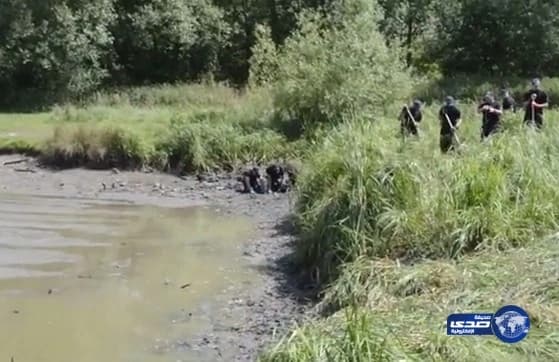 بالفيديو.. الشرطة البريطانية تجفف بحيرة للبحث حول مقتل “ناهد الزيد”