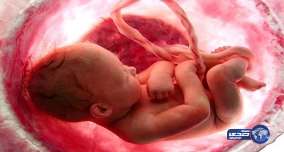 وفاة 8 حجاج مصريين في الأراضي المقدسة