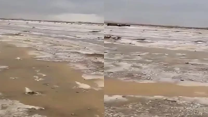 فيديو يكشف عن بردية الرفايع بحائل