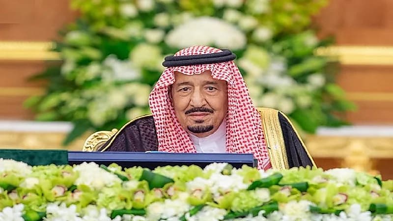 تفاصيل قرارات مجلس الوزراء