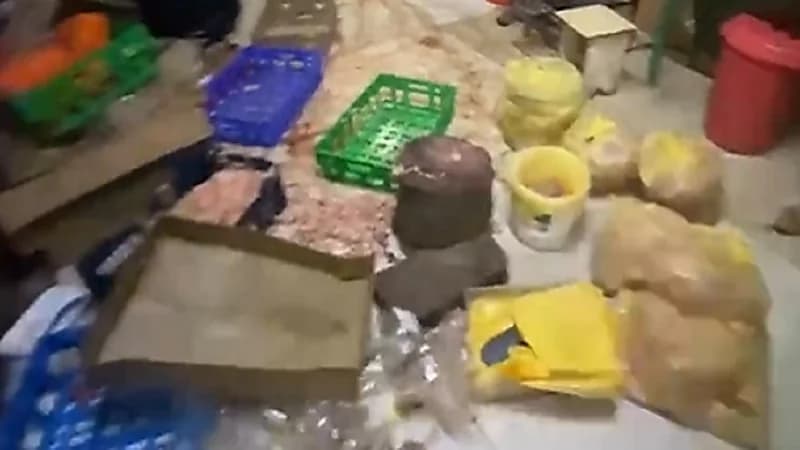 بالفيديو.. الإطاحة بسماسرة مطعم حولوا شقة سكنية لمعمل لتقطيع الدواجن بالرياض