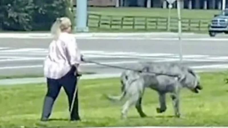 سيدة تثير جدلاً واسعًا بين رواد الـ سوشيال ميديا بعد ظهورها بصحبة وحش