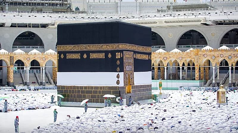 أهم الاحتياطات التي على الحاج اتخاذها تجنبًا للاحتيال..فيديو