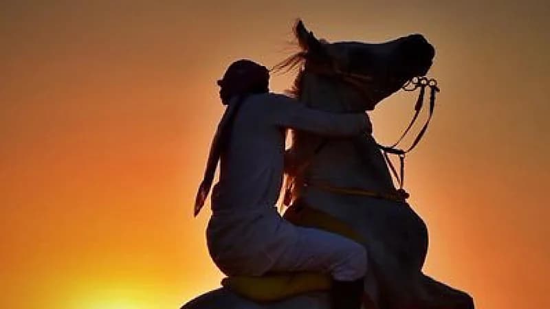 فارس تبوريدة يطلق النار على قاصر رفضت تحرشه ويشوه وجهها