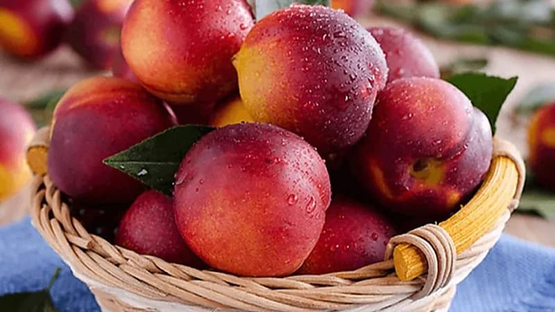 فوائد الخوخ الصحية للجسم