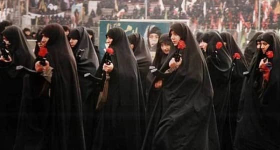 " خطافات حرب الخليج " كلمة السر في استقالات مسؤولين بإيران