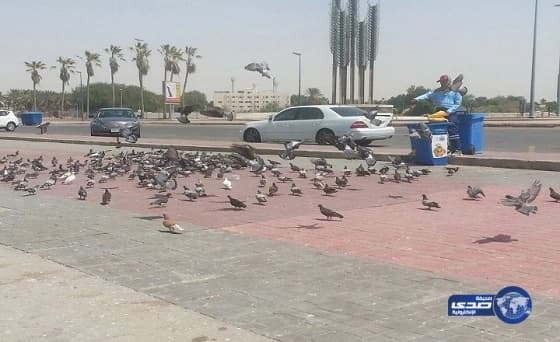 الكشف عن فيتامين شائع يساعد على إطالة أمد الشباب