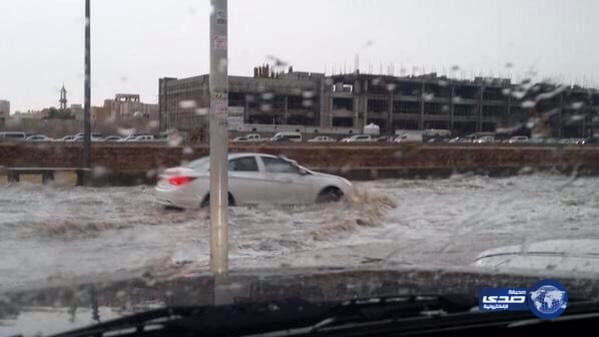 شاهد.. ضبط مقيم بتهمة زراعة مواد مخدرة 
