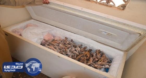 ضبط قائد شاحنة بحالة غير طبيعية في ينبع 