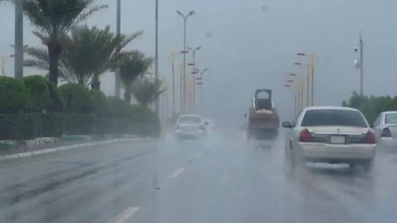 الأرصاد: تقلبات جوية على معظم المناطق بداية من الإثنين المقبل 