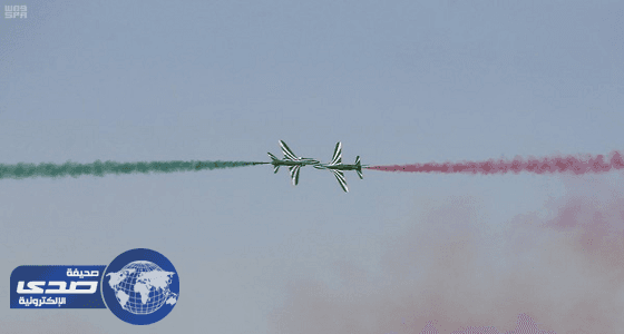 الصقور السعودية تستهل أولى عروضها في سماء حفر الباطن