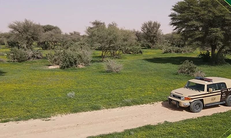 القبض على 15 مواطنًا مخالفًا لنظام البيئة لارتكابهم مخالفات صيد