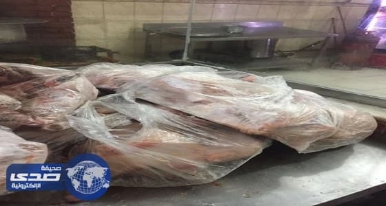 مصادرة 900 كيلو لحوم مذبوحة عشوائيا بمكة