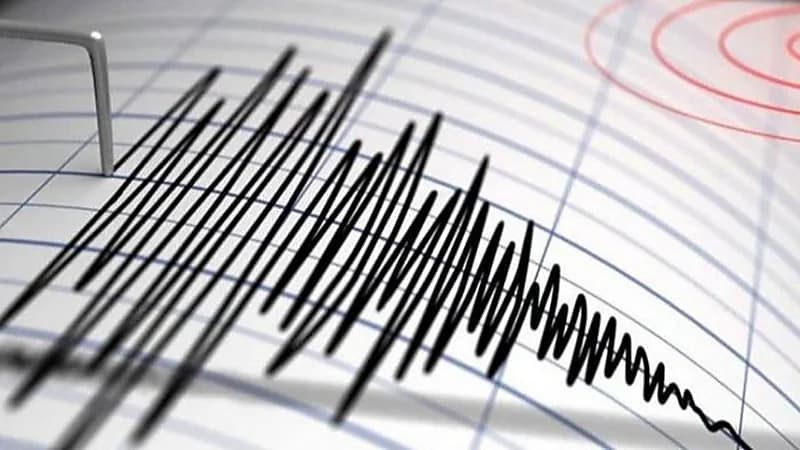 زلزال يضرب منطقة بابوا في إندونيسيا