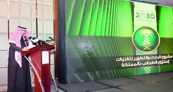 مشروع لإنتاج الطحالب يوفر 200 ألف وظيفة للمواطنين والمواطنات