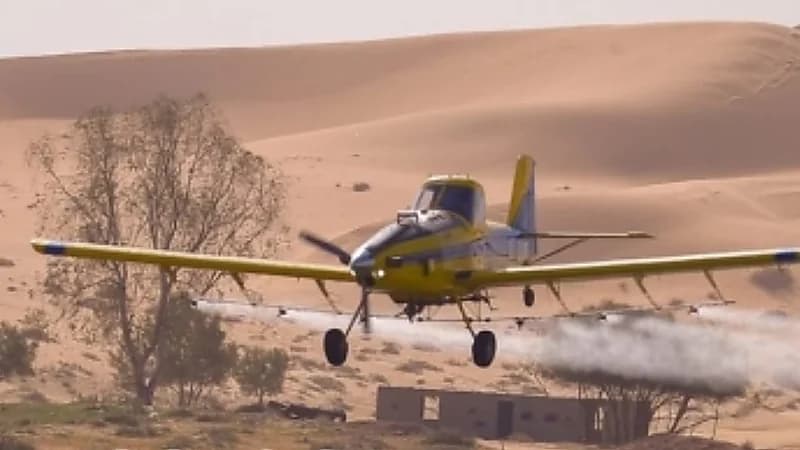 "وقاء" يؤكد استمرارية الأعمال بعد سقوط طائرة المكافحة ونجاة قائدها بجازان