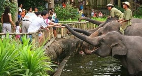 نسيان أم وأطفالها الثلاثة في حديقة حيوان بالخطأ