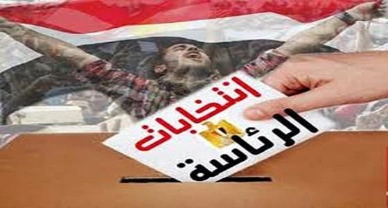 هيئة الانتخابات المصرية: استبعاد عنان بسبب استمرار الصفة العسكرية له