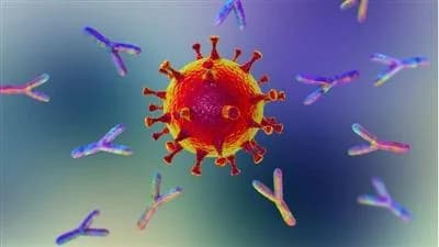 أجسام مضادة لكورونا وراء الإصابة الحادة بالفيروس