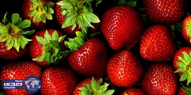 بالفيديو..7 أطعمة لاتسبب زيادة للوزن