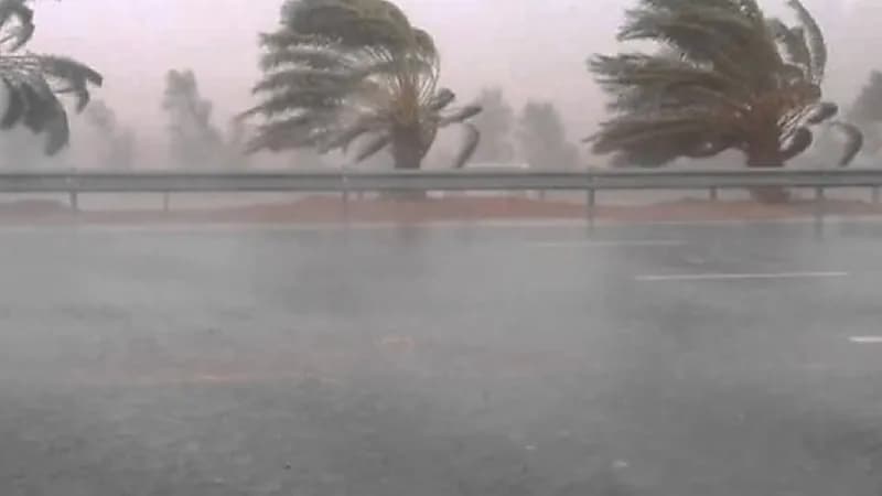 "الأرصاد": المملكة ستشهد تقلبات جوية بدءً من الغد