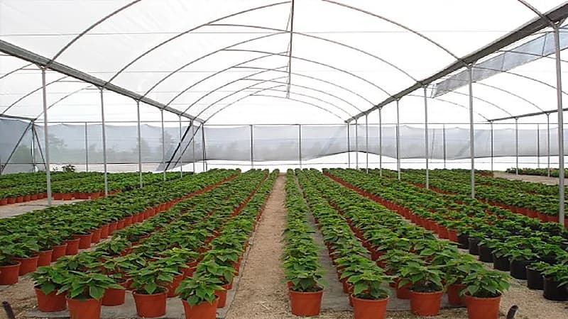 أمانة الرياض: إغلاق 191 مشتلاً لم تلتزم بالضوابط والتعليمات