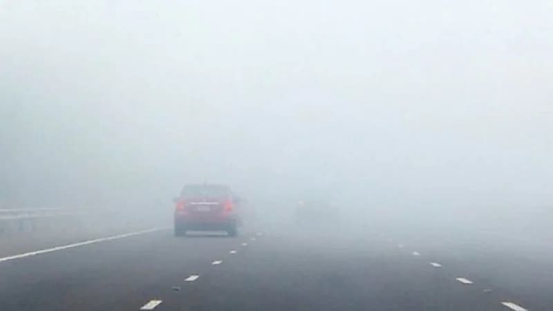 تنبيه من الأرصاد: ضباب على ينبع والرايس وينبع النخل