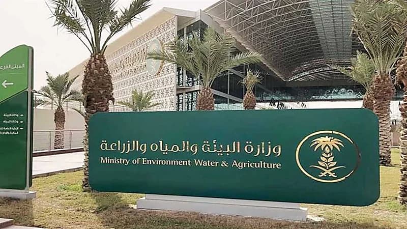 "البيئة" تدعو البدلاء لوظائف التعاقد على الوظائف الموسمية