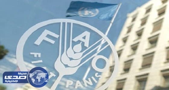 ممثل المملكة بالفاو: السعودية تسعى لإغاثة المنكوبين بعيدًا عن التوجهات السياسية والعرقية