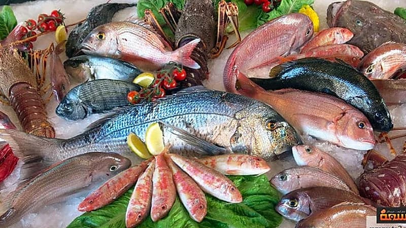 بالفيديو .. طبيب: هناك ارتباط بين أسماك المزارع ملوثة والأمراض المزمنة