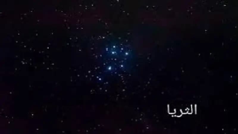 "الحصيني": موسم "الكنة" يخفي نجوم الثريا بسبب وهج الشمس