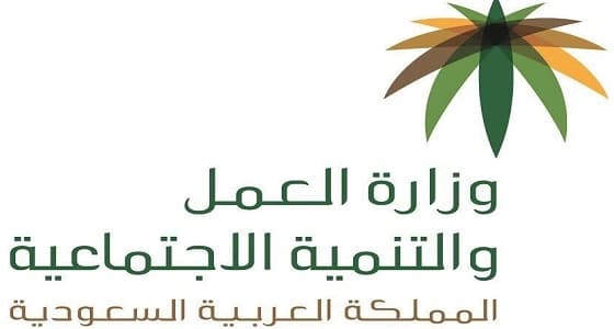 " العمل " تضبط 596 مخالفة بقطاع الإيواء السياحي