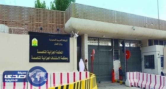 9 سنوات سجن لـ " داعشي " حرض على الفتنة والعنف